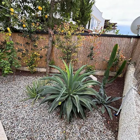 Modern Garden Flat In 博德鲁姆