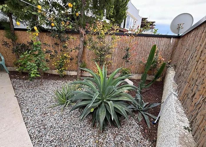 Modern Garden Flat In Bodrum